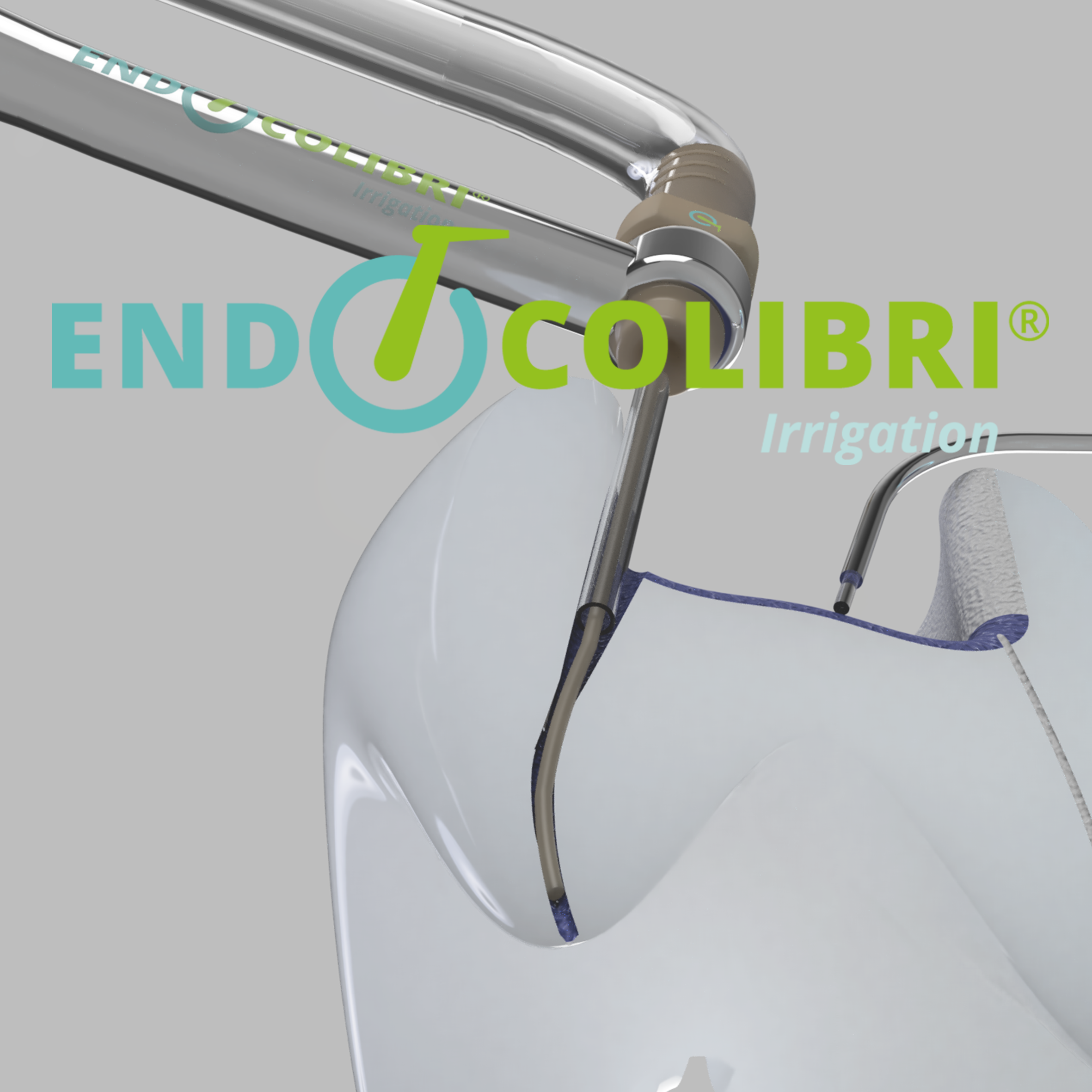 EndoColibri®