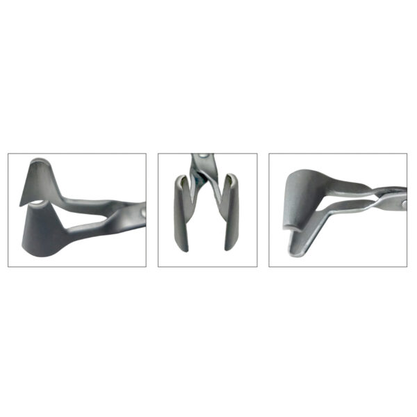 Bone Packer Forceps - Image 2